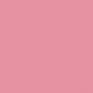 媒体抢间少年黄色电影
