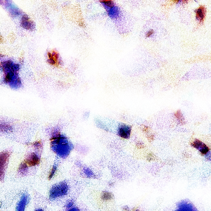 媒体抢间少年黄色电影
